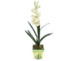 zel Yapay Orkide Beyaz   stanbul Kadky online ieki , iek siparii 