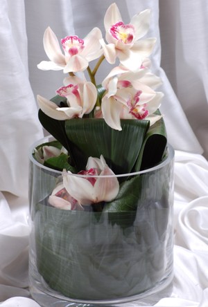  stanbul Kadky internetten iek siparii  Cam yada mika vazo ierisinde tek dal orkide