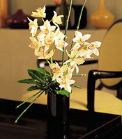  stanbul Kadky iekiler  cam yada mika vazo ierisinde dal orkide