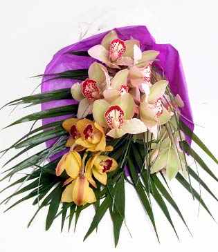  stanbul Kadky cicekciler , cicek siparisi  1 adet dal orkide buket halinde sunulmakta