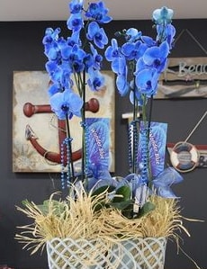 4 dall zel mavi orkide  stanbul Kadky iek siparii vermek 