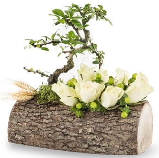 Doğal kütükte bonsai ağacı ve 7 beyaz gül  İstanbul Kadıköy çiçek gönderme sitemiz güvenlidir 